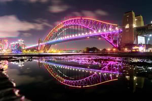 Sydney: VIVID Private Luxury Cruise