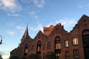 Omvisning til fots i The Rocks Uncovered