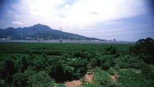Danshui River Mangrove Conservation Area