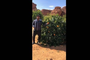 Matka Mekasta Jeddahiin: Tutustu Jeddahin kauneuteen