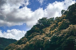 Da Taipei: gita di 1 giorno privata a Sandiaoling e Makang