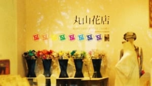 KD Arts Gallery Shop