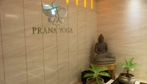 Prana Yoga