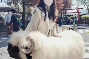 Historie na wietrze: delikatny rytm turystyki w Yilan