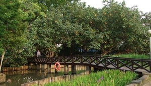 Jardin Botanique de Taipei