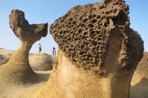 Taipei: Private City Sightseeing Tour with Driver