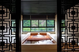 Tour delle sorgenti termali di Taipei: Wulai Old Street e funivia