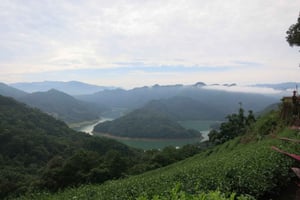 Fra Taipei: Thousand Island Lake og Pinglin teplantasje