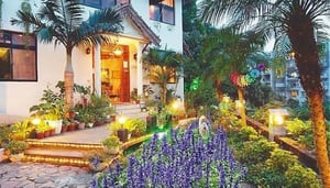 Tianmu Old-Path Forest Garden