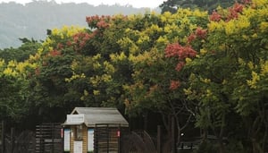 Zhishan Cultural and Ecological Garden