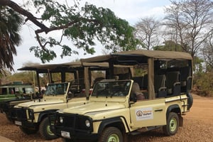 1 Tag Flugsafari Sansibar Nyerere National Park