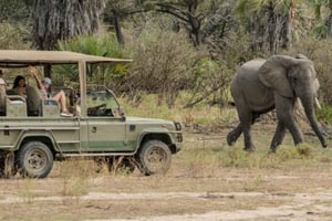 ザンジバル島からニエレレNP（セルースGR）まで飛行機で行く2日間
