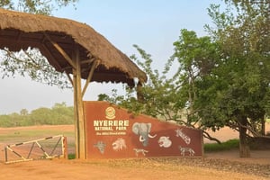 2日間1泊 ザンジバル発ニエレレ国立公園へ飛行機で