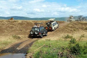 2 Tage günstige Mikumi-NP-Safari & Wasserfall von Daressalam aus