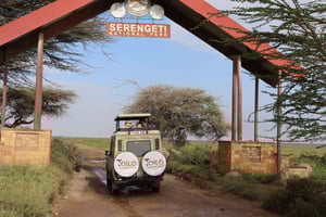 3-dages oplevelser med dyreliv og varmluftsballon