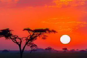 Serengeti e Ngorongoro: safari di 3 giorni da Nairobi