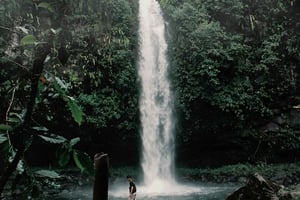 3-tägige spektakuläre Mikumi-Safari mit Chizua & Schlangenpark