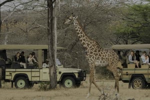 3 Days Flight Package Zanzibar to Nyerere/Selous