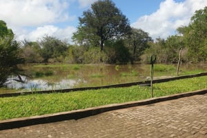 ザンジバルからニエレレ国立公園まで飛行機で3日間。