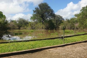 3 DAYS NYERERE NATIONAL PARK FROM ZANZIBAR BY FLIGHT.