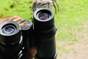 3 Tage Serengeti Ngorongoro Gruppenreise Safari