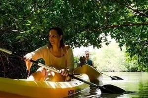 Zanzibar: 3-uur durende kajaktocht door het mangrovebos