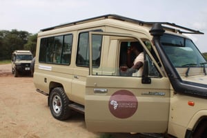 4-daagse luxe migratie fly-in safari