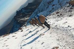 4-dniowa wycieczka na Mount Meru - Tanzania (wylot - Arusza)