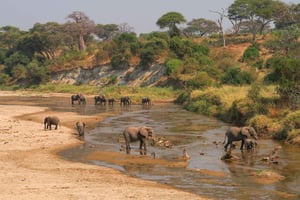 4-daagse safari naar Arusha NP, Ngorongoro, Tarangire en Makuyuni