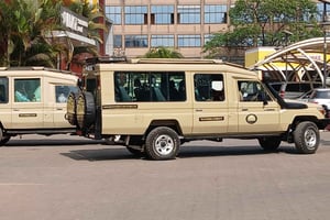 5 Tage Migration, Tarangire, Serengeti und Ngorongoro