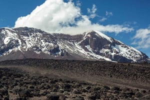 7-dages vandring på Machame-ruten på Kilimanjaro