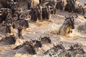 7 giorni alla scoperta della bellezza della Tanzania