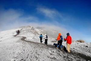 7 dagers bestigning av Kilimanjaro via Lemosho-ruten