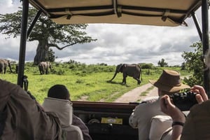 8-tägige Premium-Safari in Kenia und Tansania