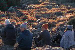 8 Tage Lemosho-Strecke – Gipfel des Kilimandscharo an Silvester 2026