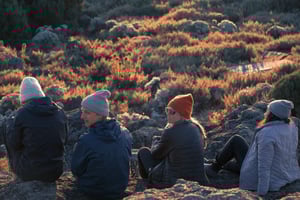 8-дневный маршрут Лемошо – Восхождение на Килиманджаро в Новый год 2026