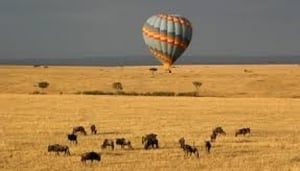 Adventures Aloft Balloon Safaris Serengeti