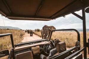 Arusha: 3-Day Ngorongoro Crater Safari with Flights