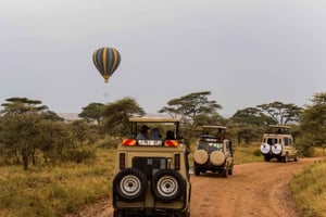 Arusha: 5-tägige Safari nach Tarangire, Serengeti und Ngorongoro