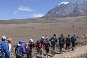 Arusha: 7-dagars guidad vandring på Kilimanjaro Machame-rutten