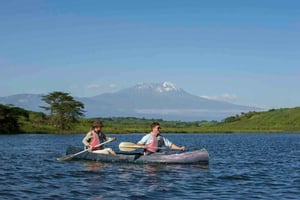 Arusha: Safari i Arusha nationalpark med möjlighet till kanotpaddling