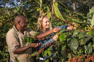 Arusha : visite guidée du Coffee Lodge avec dégustation de café