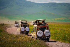 Arusha: escursione di un giorno al Parco Nazionale di Arusha con pranzo.