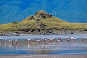 Arusha: Tagestour zum Natronsee (Seespaziergang & Wasserfallwanderung)
