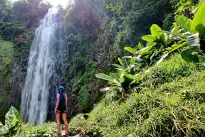 Arusha: Materunin vesiputous, kahvikierros ja kuumat lähteet