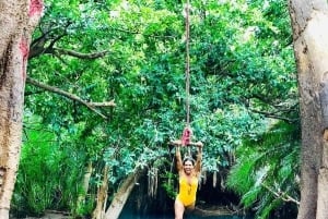 Arusha: Materuni-vandfald, kaffe og varme kilder på en tur