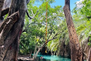 Arusha: Materuni Waterfalls, Hot Springs and/or Coffee Tour