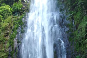 Arusha/Moshi: Waterfall,Coffee tour & Banana Wine Experience