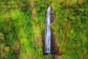 Arusha : Excursion d'une journée aux chutes d'eau du Mont Meru avec déjeuner
