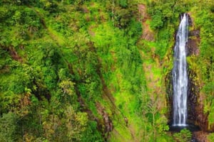 Arusha: Dagsutflykt till Mount Merus vattenfall med lunch